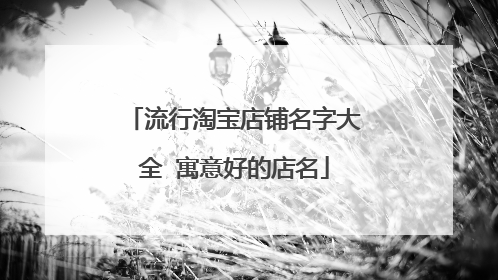 流行淘宝店铺名字大全 寓意好的店名