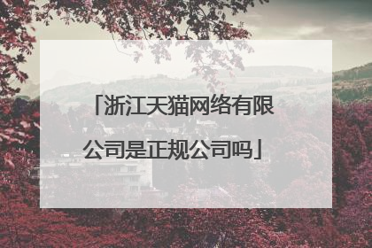 浙江天猫网络有限公司是正规公司吗
