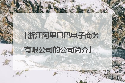 浙江阿里巴巴电子商务有限公司的公司简介