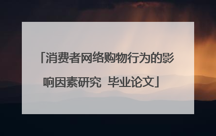 消费者网络购物行为的影响因素研究 毕业论文