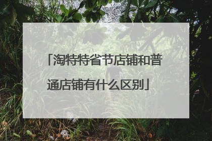 淘特特省节店铺和普通店铺有什么区别