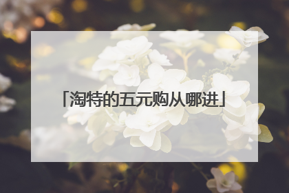 淘特的五元购从哪进