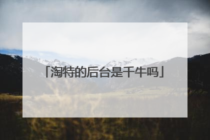 淘特的后台是千牛吗