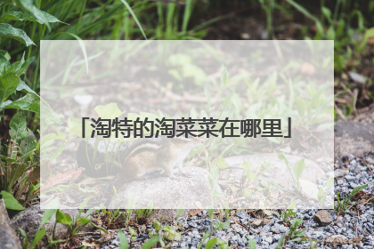 淘特的淘菜菜在哪里