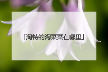 淘特的淘菜菜在哪里