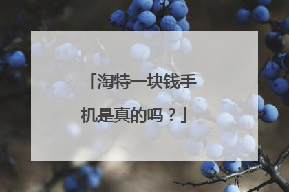淘特一块钱手机是真的吗?