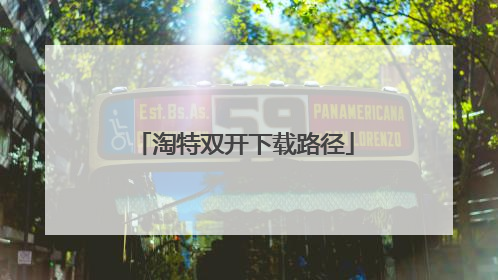 淘特双开下载路径