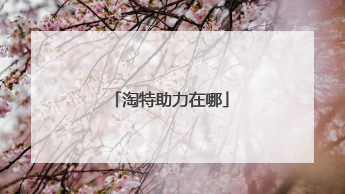 淘特助力在哪