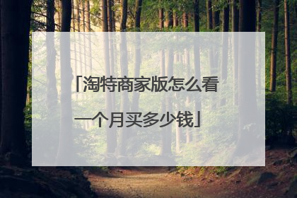淘特商家版怎么看一个月买多少钱