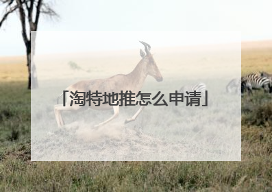 淘特地推怎么申请