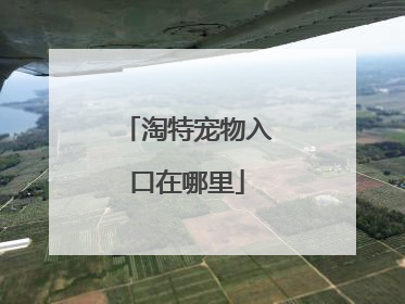 淘特宠物入口在哪里