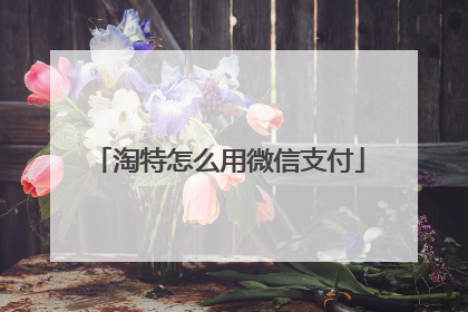 淘特怎么用微信支付
