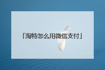 淘特怎么用微信支付