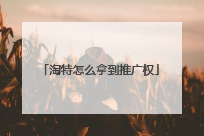淘特怎么拿到推广权