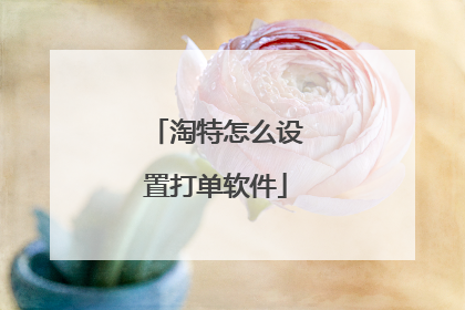 淘特怎么设置打单软件