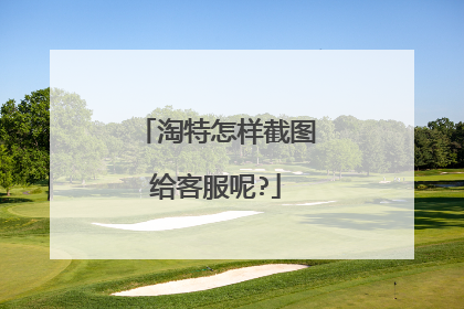 淘特怎样截图给客服呢?