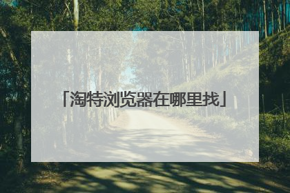 淘特浏览器在哪里找