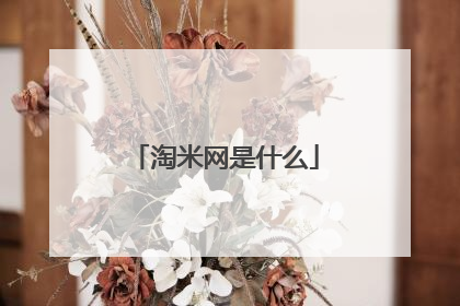 淘米网是什么