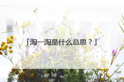 淘一淘是什么意思?