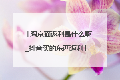 淘京猫返利是什么啊_抖音买的东西返利