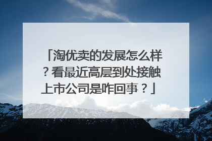 淘优卖的发展怎么样?看最近高层到处接触上市公司是咋回事?