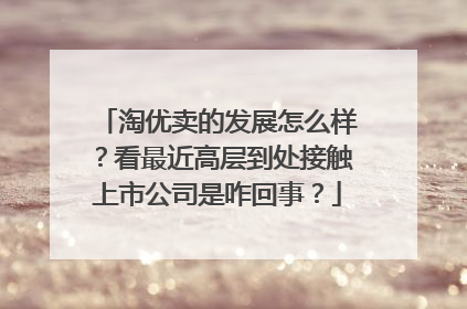 淘优卖的发展怎么样?看最近高层到处接触上市公司是咋回事?