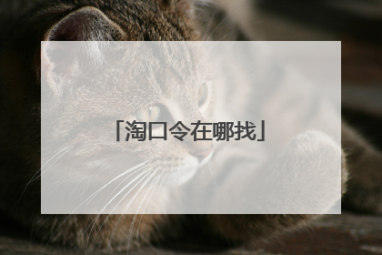淘口令在哪找