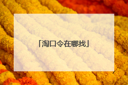 淘口令在哪找