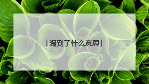 淘到了什么意思
