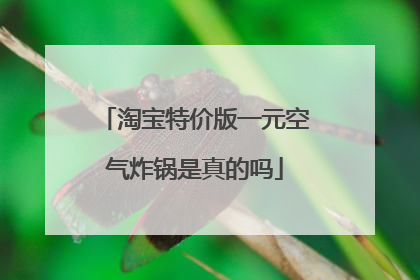 淘宝特价版一元空气炸锅是真的吗
