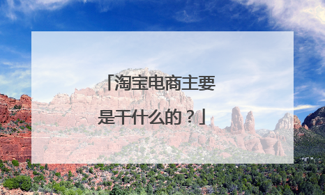淘宝电商主要是干什么的？