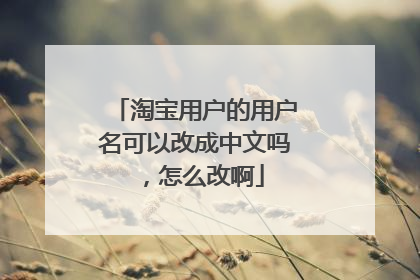 淘宝用户的用户名可以改成中文吗,怎么改啊