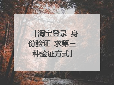淘宝登录 身份验证 求第三种验证方式