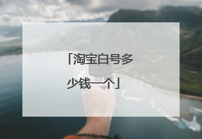 淘宝白号多少钱一个
