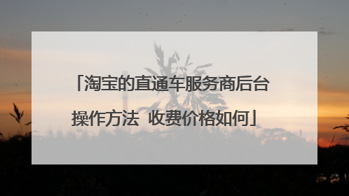 淘宝的直通车服务商后台操作方法 收费价格如何
