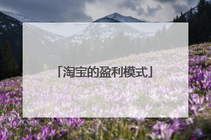淘宝的盈利模式