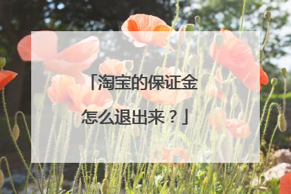 淘宝的保证金怎么退出来?
