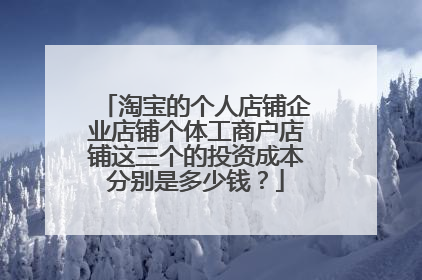 淘宝的个人店铺企业店铺个体工商户店铺这三个的投资成本分别是多少钱?
