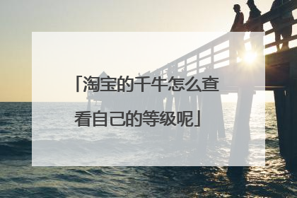 淘宝的千牛怎么查看自己的等级呢