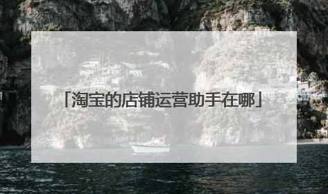 淘宝的店铺运营助手在哪