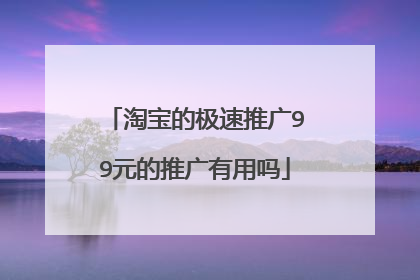 淘宝的极速推广99元的推广有用吗