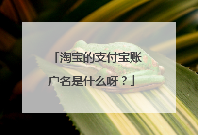 淘宝的支付宝账户名是什么呀?