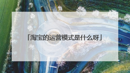 淘宝的运营模式是什么呀