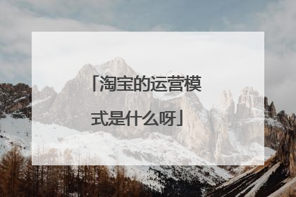 淘宝的运营模式是什么呀