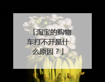 淘宝的购物车打不开是什么原因?