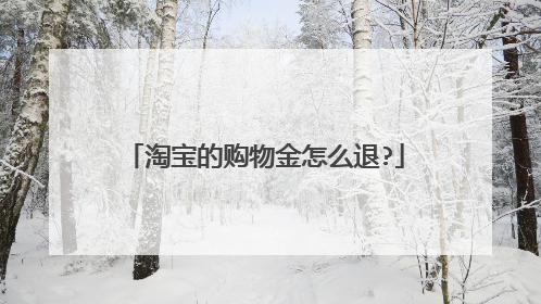 淘宝的购物金怎么退?