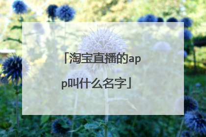 淘宝直播的app叫什么名字