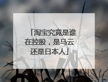 淘宝究竟是谁在控股，是马云还是日本人
