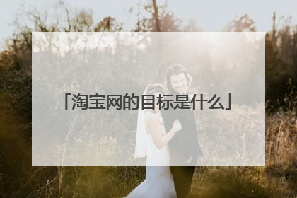 淘宝网的目标是什么