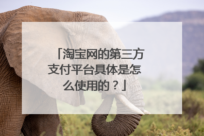 淘宝网的第三方支付平台具体是怎么使用的?